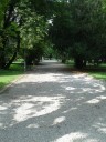 20190710_Perivoj kralja Petra Krešimira IV_sl3~1.jpg